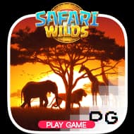 Safari Wilds