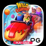 Wild Coaster
